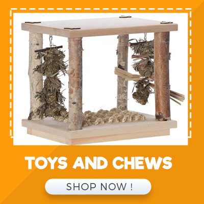TOYS AND CHEWS