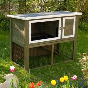 Outback Hutch Green with Run