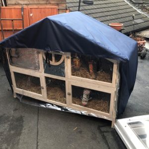 hutch with apex roof
