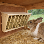 rabbit hay feeder